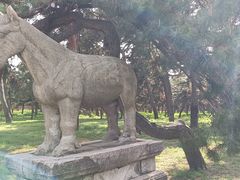 -北陵公园