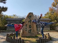 -阳台山自然风景区