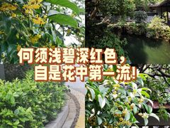 -长广溪湿地公园