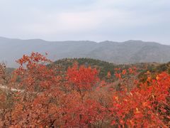 -香山公园
