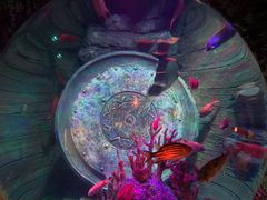 -沈阳海洋探索中心