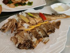 -骏莱海鲜鱼港(五角场店)
