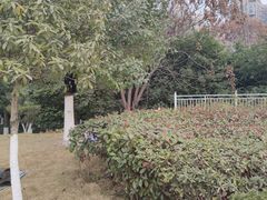 -沙河三洞古桥公园
