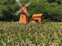 -苏州上方山国家森林公园