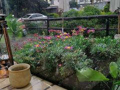 景观位-马帮菜馆·美味野生菌