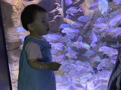 -成都浩海立方海洋公园