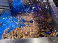 -盒马鲜生(莱蒙都会店)
