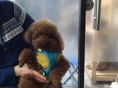 -爱侣宠医·鹦鹉专科·小型哺乳类·异宠专科(灵石路店)