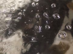 -金台阶鱼馆(于桥水库店)