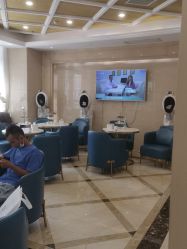 -碧莲盛·不剃发植发