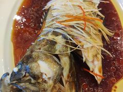 -鹏天阁酒楼·海鲜(红旗店)