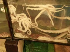 -合家小菜餐馆(新诚花苑店)