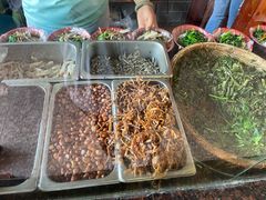 -胡仕光陵水酸粉