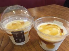 -油梨树 AVOCADO TREE(亮马桥店)