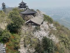 -杭州半山国家森林公园