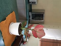 -厦门国家会计学院