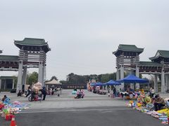 -王借岗森林公园