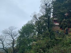 -青城道汤池