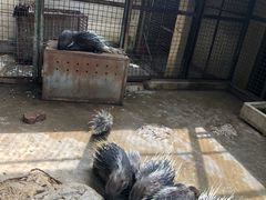 -昆明动物园