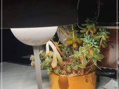 -ALAMEEN阿拉伯餐厅(三里屯店)