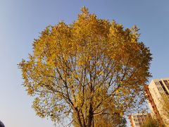 -河北工业大学(北辰校区)