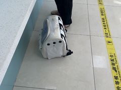 -北京观赏动物医院·24小时大型综合·猫专科·异宠专科
