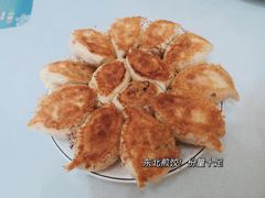 -东北饺子馆(马尾君竹店)