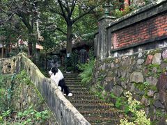 -鼎湖山风景区