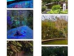 -花水湾第一村温泉大酒店