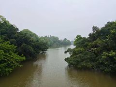 -江心屿景区