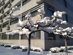 -北京化工大学(东校区)