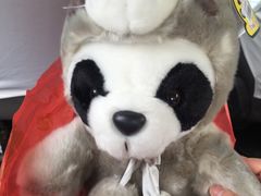 -熊猫邮局(少城店)