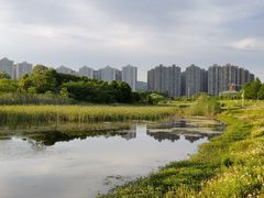 -洋湖国家湿地公园
