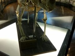 -陕西自然博物馆