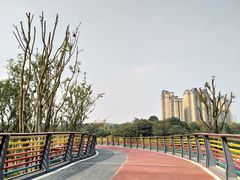 -府河摄影公园