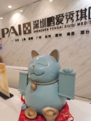 -深圳鹏爱秀琪医疗美容医院