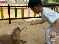 -西霞口神雕山野生动物世界