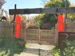 -田园东方蜜桃村的田野营地