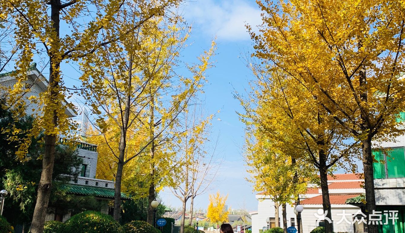 坐火车到杨村站or武清站，再打个车就到了