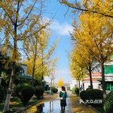 坐火车到杨村站or武清站，再打个车就到了
