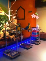 -未来动物城动物主题公园(大悦城店)