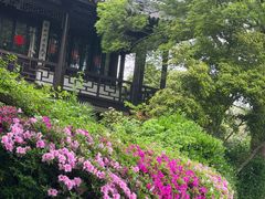 -无锡蠡湖国家湿地公园-蠡园