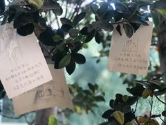 -莫内艺术岛海景咖啡