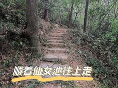 -青龙山国家森林公园