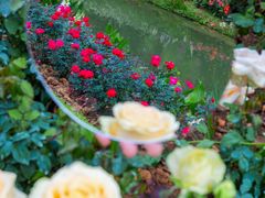 -人民公园(罗湖区)