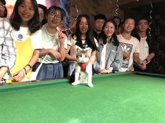 -玩坞轰趴馆·户外团建聚会主题生日派对馆(世豪广场店)