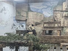 -无锡动物园·太湖欢乐园