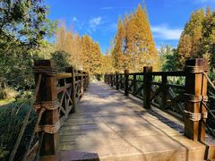 -桤木河湿地公园