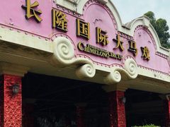 -广州长隆国际大马戏