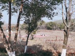 -天生桥景区